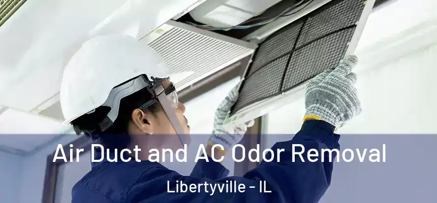  Air Duct and AC Odor Removal Libertyville - IL
