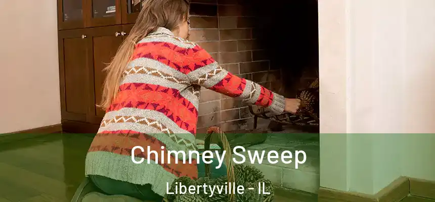  Chimney Sweep Libertyville - IL