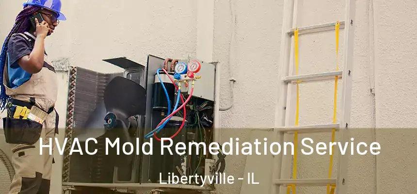  HVAC Mold Remediation Service Libertyville - IL