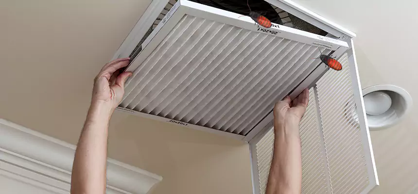 Preventive Cockroach-Proofing for Ducts in Libertyville