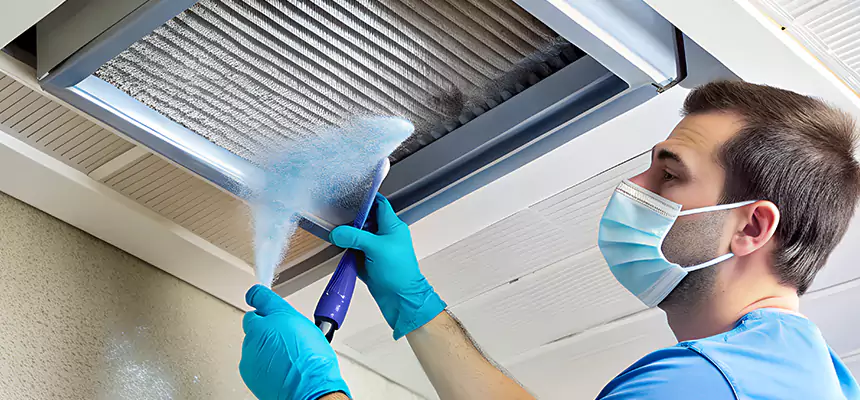 Proactive Dryer Vent & Auxiliary Duct Pollen Cleanup in Libertyville, IL