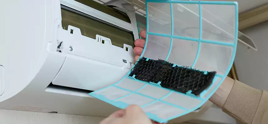 Gentle Ductwork Odor-Control Pet Dander Duct Cleaning in Libertyville, IL