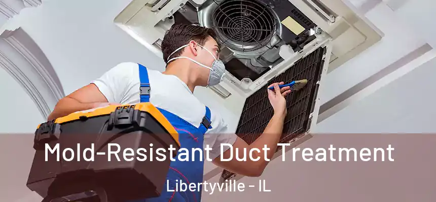  Mold-Resistant Duct Treatment Libertyville - IL