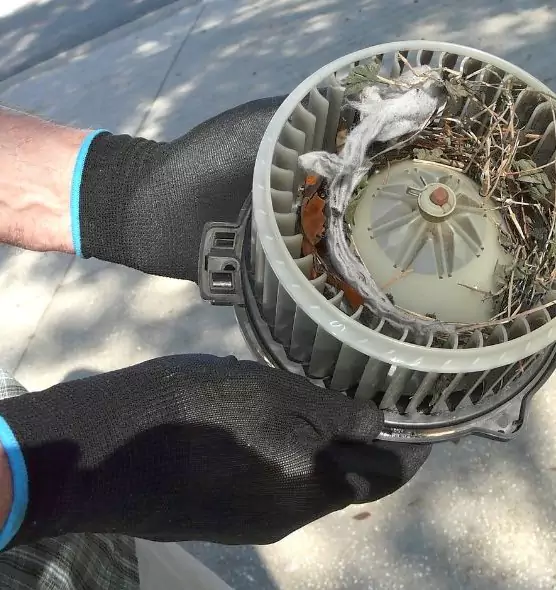 About Air Duct Rat Removal in Libertyville, IL