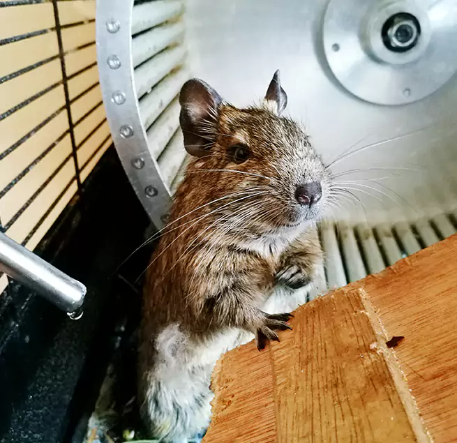 Why Homeowners & Businesses Trust Us Libertyville, IL?